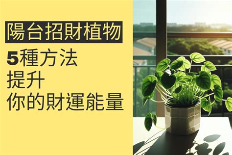 陽台植物招財|陽台植物招財妙招！4種植物讓你財源滾滾來 